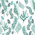 ÃÂ attern feather leaves sketch green outline different elements isolated